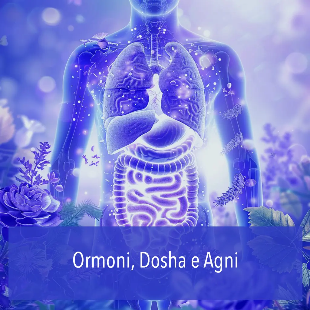 Ormoni, Dosha e Agni