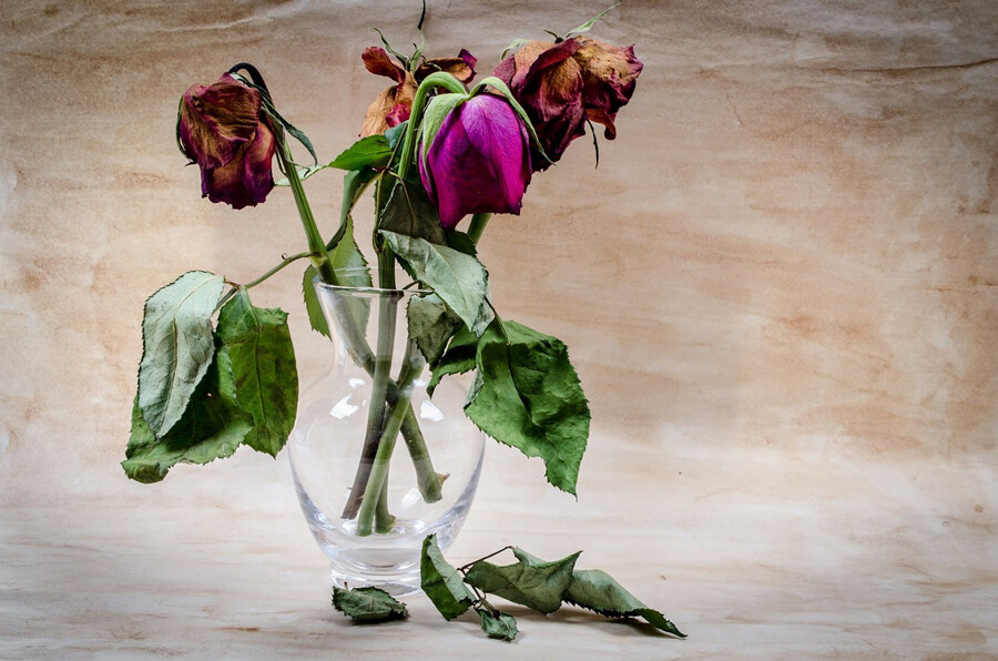 Il dolore articolare in medicina Ayurvedica