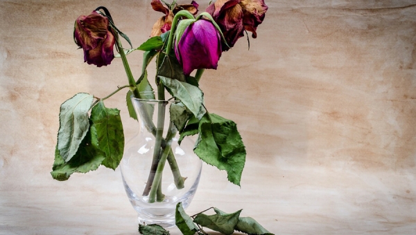 Il dolore articolare in medicina Ayurvedica