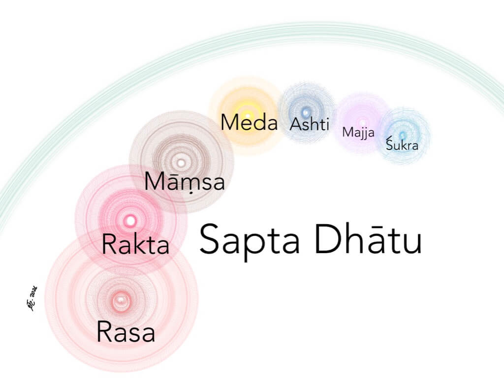 Asthayi, significato - Glossario Ayurvedico | Ayurvedic Point©, Milano