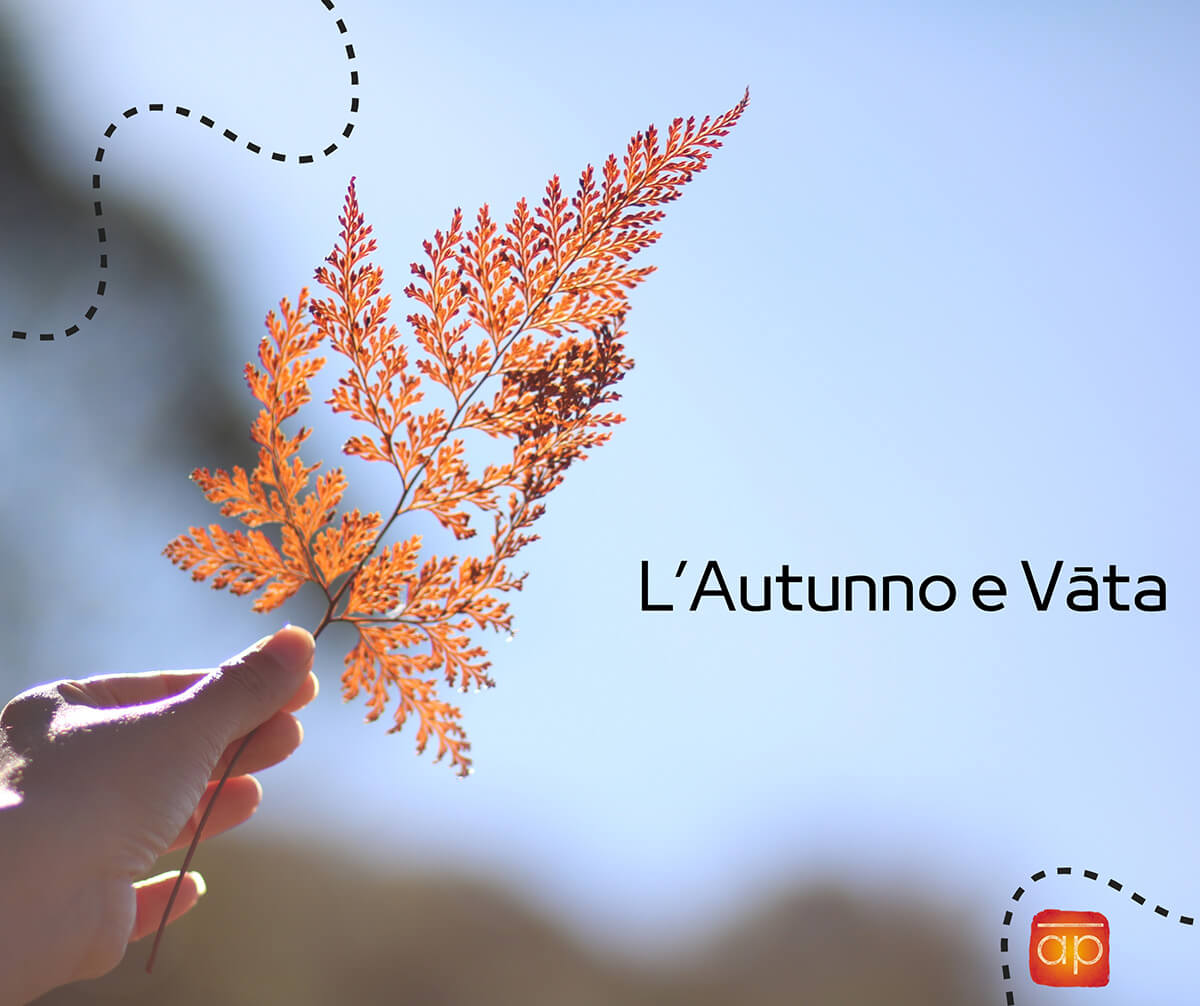 Mantenere L'Armonia Di Vāta Durante L'Autunno | Ayurvedic Point©