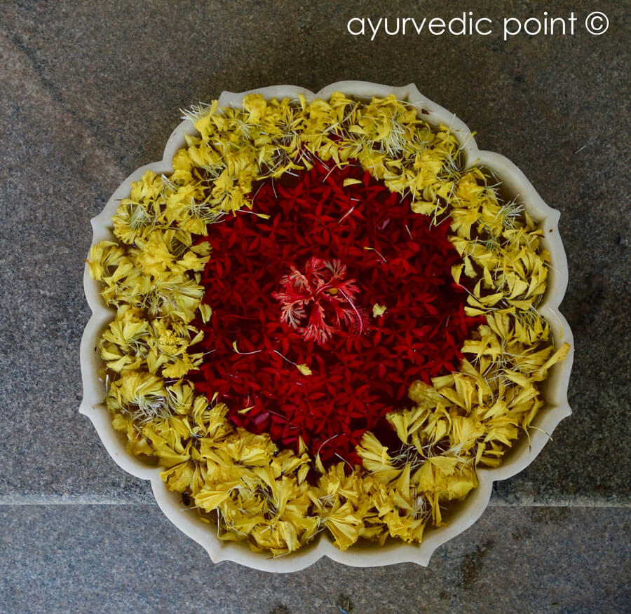 Āyurveda medicina corpo e mente | Ayurvedic Point©, Centro di Medicina Ayurvedica, Milano