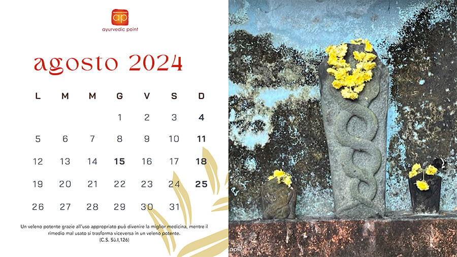 Calendario 2024 08 Agosto