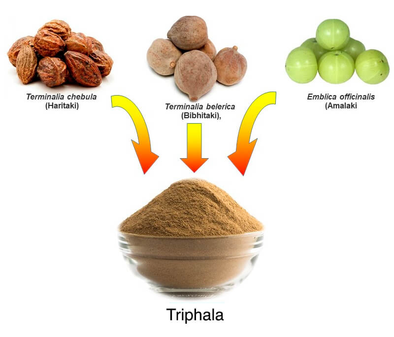 Componenti della Triphala: Haritaki, Bibhitaki, Amalaki