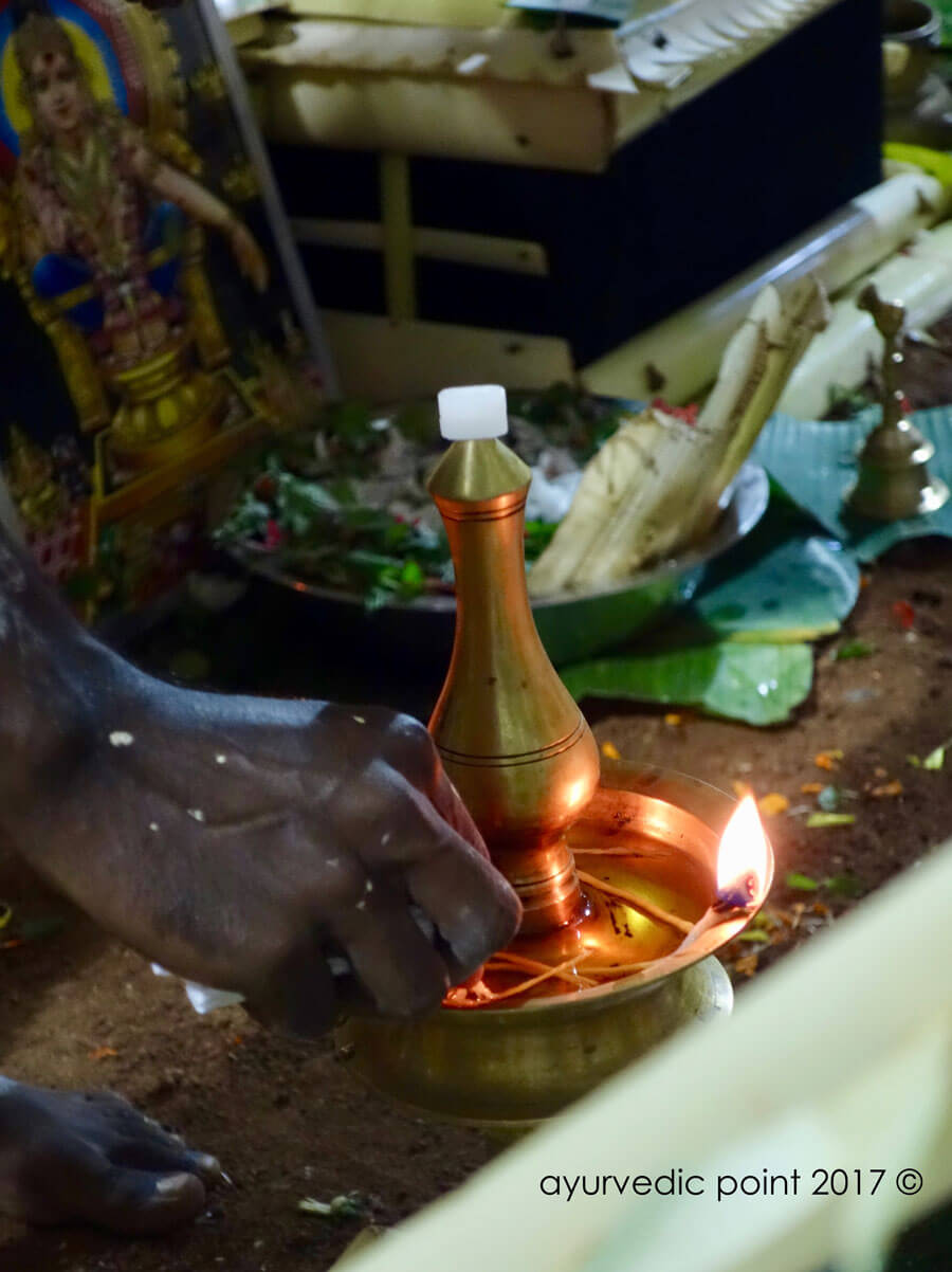Viaggio studio in India per Medici e Terapisti | Ayurvedic Point©, Milano
