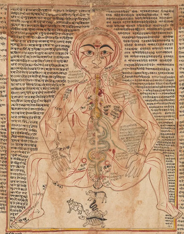 Contemporary Relevance Of Ayurveda In Complete Healthcare System | Ayurvedic Point©, Milano
