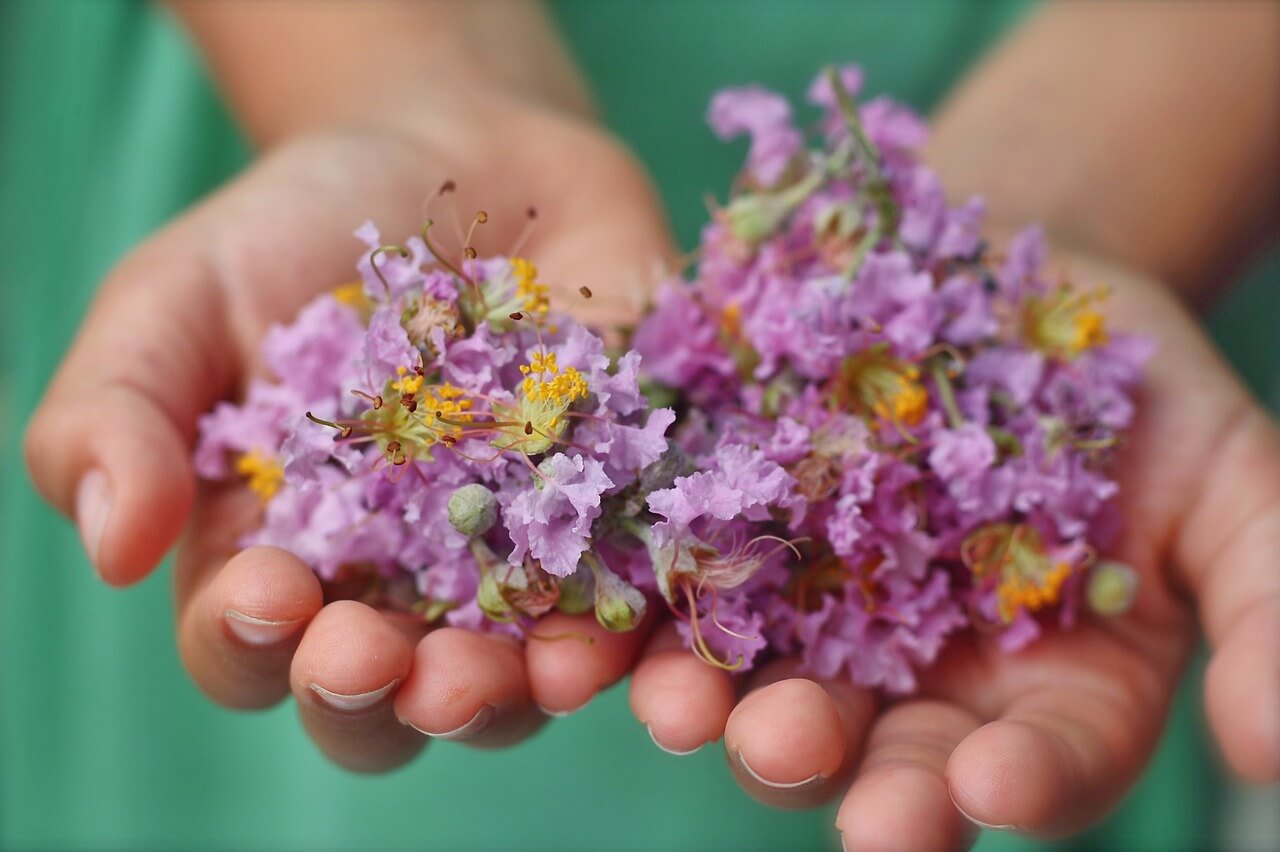 Consiglio di Aprile: Primavera e Purificazione | Ayurvedic Point©, Milano