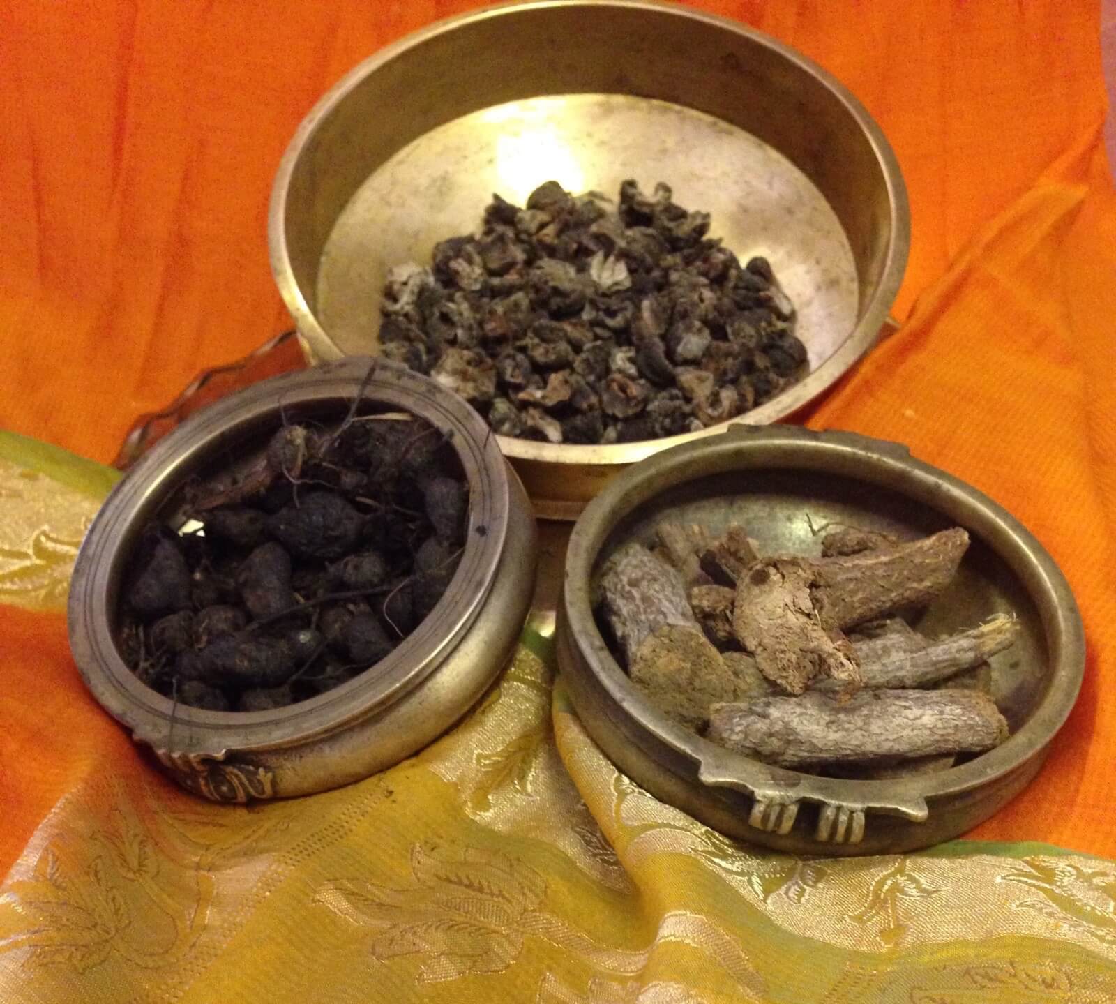 Ruolo delle erbe indigene nella gestione della malattia di Alzheimer | Ayurvedic Point©, Milano