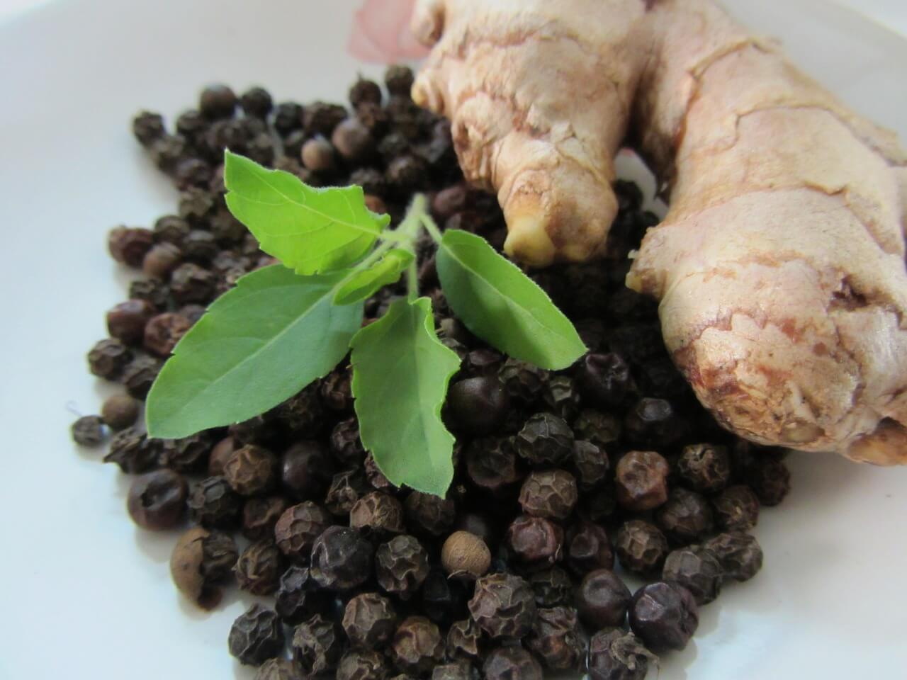 Oṣadhi (Oshadhi) | Glossario Ayurvedico - Ayurvedic Point©, Milano