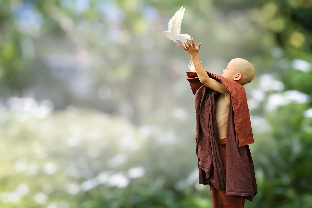 Discussione Tesi Tecnici Quadriennio 2017 / 2021 | Ayurvedic Point©