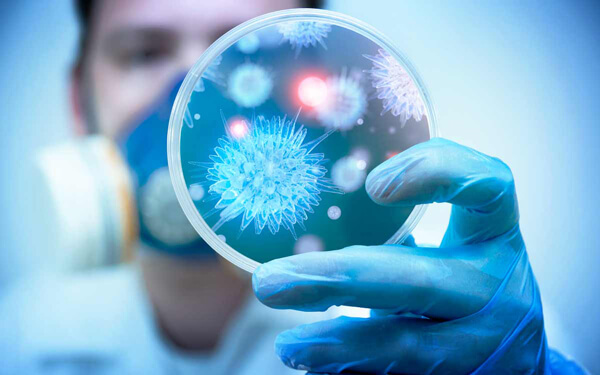 Conferenza online virus Āyurveda sistema immunitario | Ayurvedic Point©, Milano