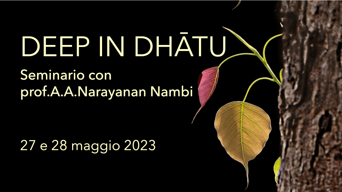 Deep in Dhātu 27-28 Maggio - Seminario in presenza con il Prof. Nambi