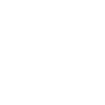 icona X tonda 