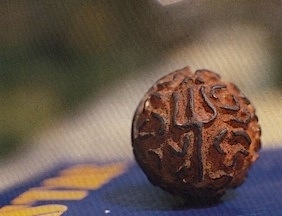 Il Meraviglioso Mondo Di Rudraksha | Ayurvedic Point©, Milano
