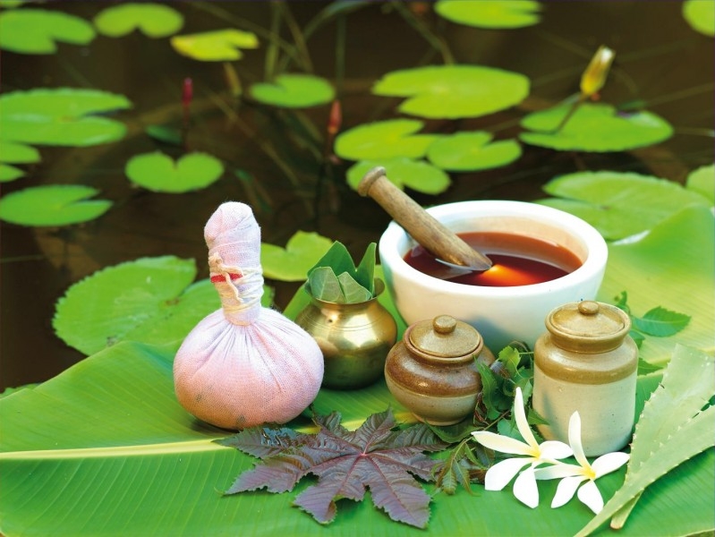 La Ricerca Per Comprendere L'Āyurveda | Ayurvedic Point©, Milano