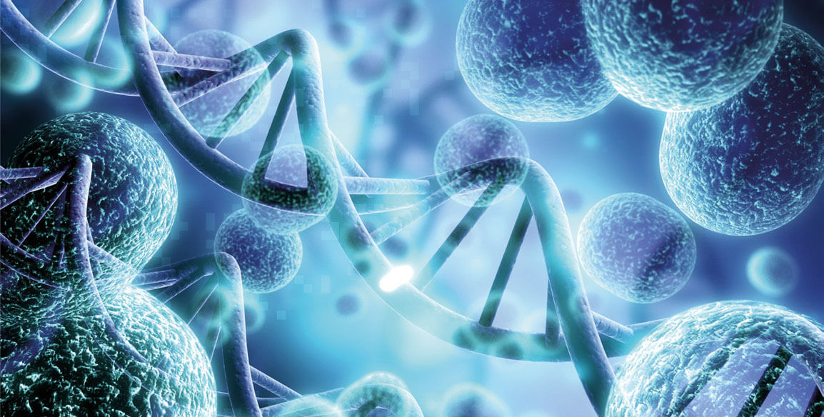 Microbioma e Āyurveda | Ayurvedic Point©, Milano